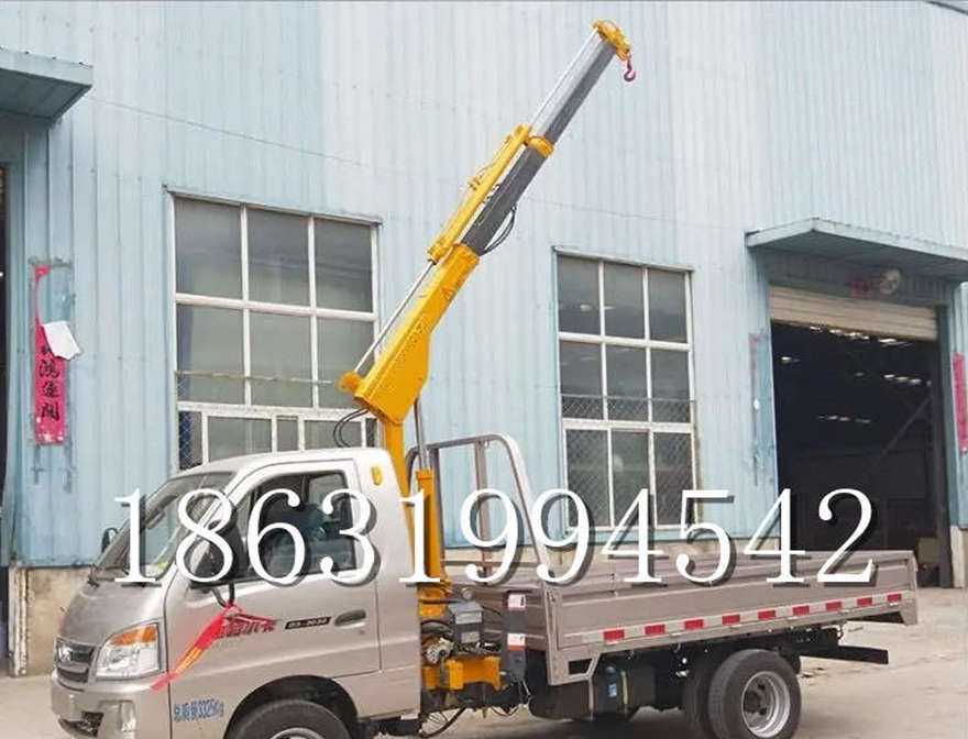 湖西乡车载吊机移动悬臂吊机220伏家用吊机那里有移动小型车载吊机